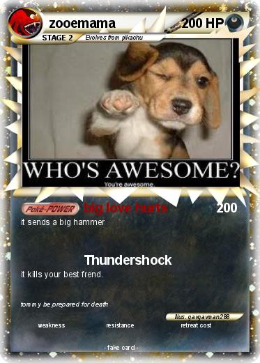 Pokemon zooemama