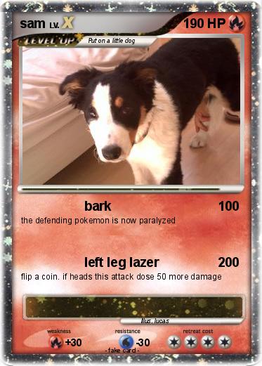 Pokemon sam