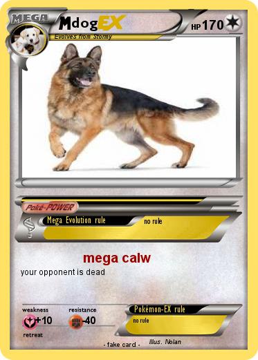Pokemon dog