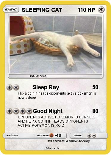 Pokemon SLEEPING CAT