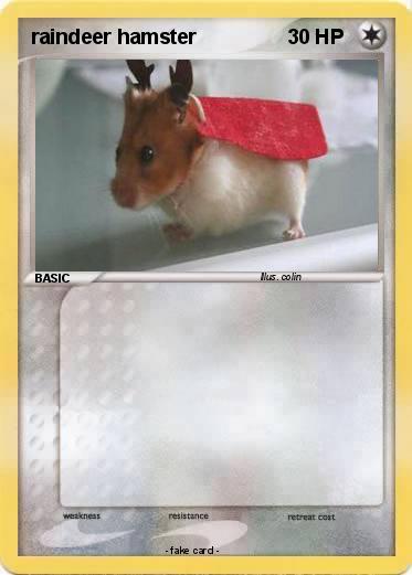 Pokemon raindeer hamster