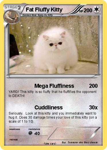 Pokemon Fat Fluffy Kitty