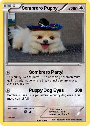 Pokemon Sombrero Puppy!