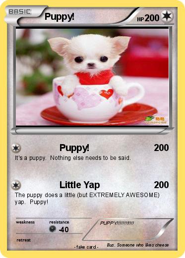 Pokemon Puppy!