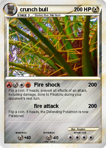 Pokemon crunch bull