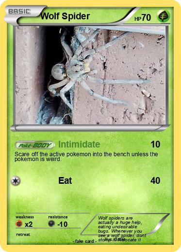 Pokemon Wolf Spider