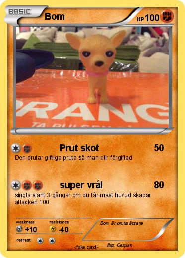 Pokemon Bom