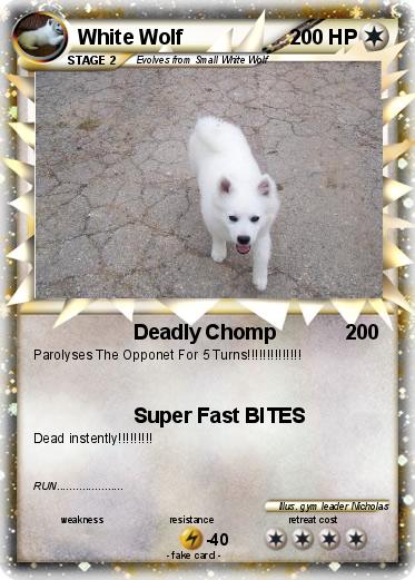 Pokemon White Wolf