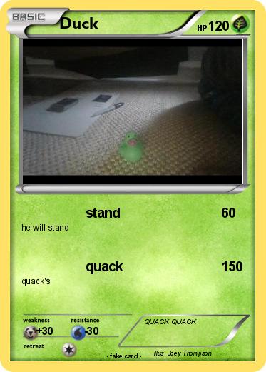 Pokemon Duck