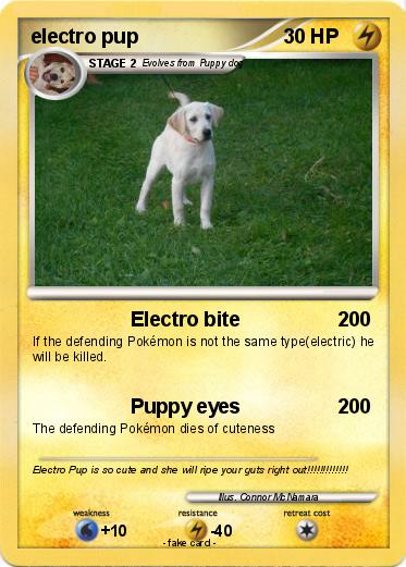 Pokemon electro pup