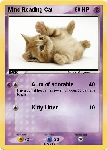 Pokemon Mind Reading Cat
