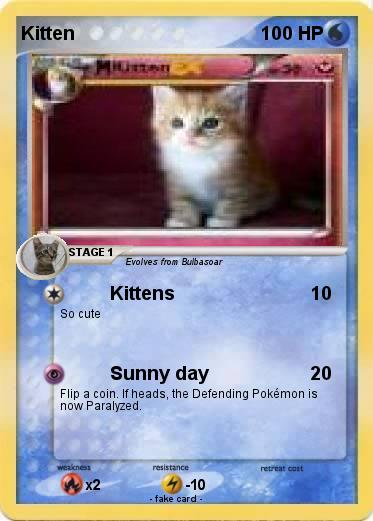 Pokemon Kitten