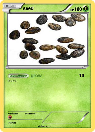 Pokemon seed