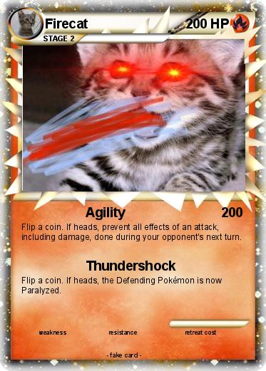Pokemon Firecat