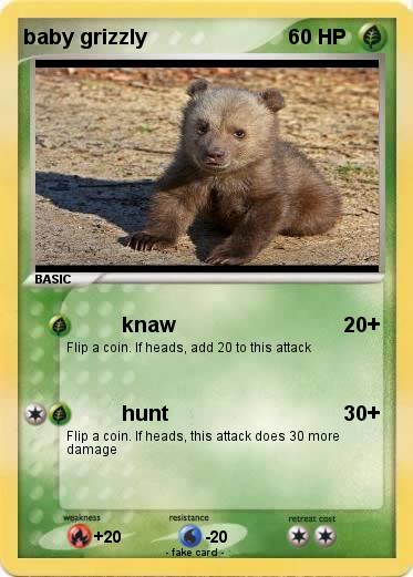 Pokemon baby grizzly