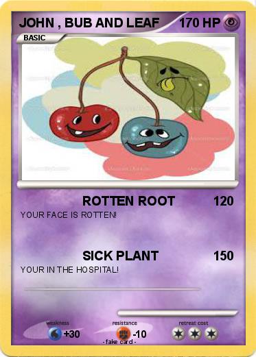Pokemon JOHN , BUB AND LEAF