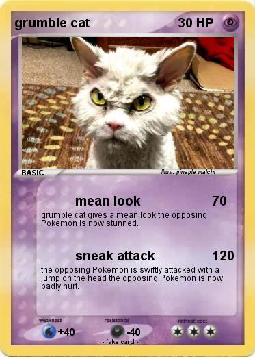 Pokemon grumble cat