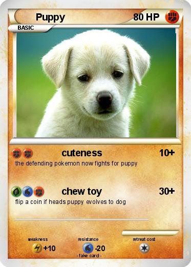 Pokemon Puppy
