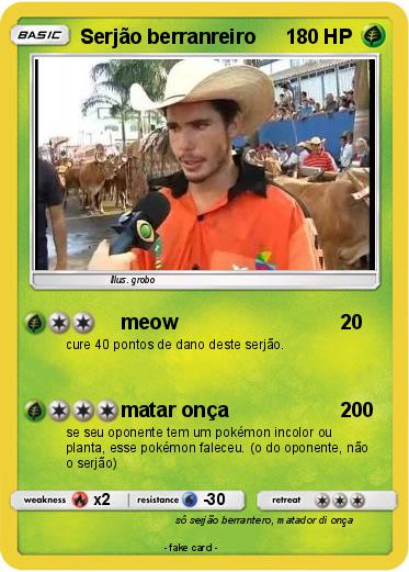 Pokemon Serjão berranreiro