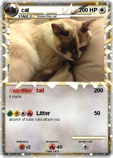 Pokemon cat