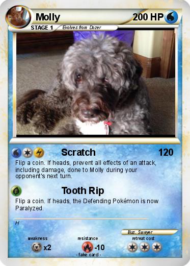 Pokemon Molly