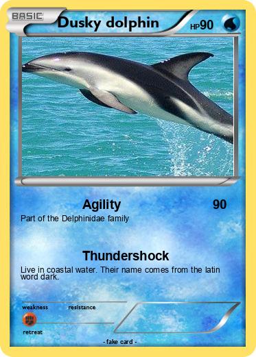 Pokemon Dusky dolphin