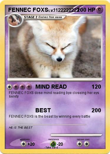 Pokemon FENNEC FOXS