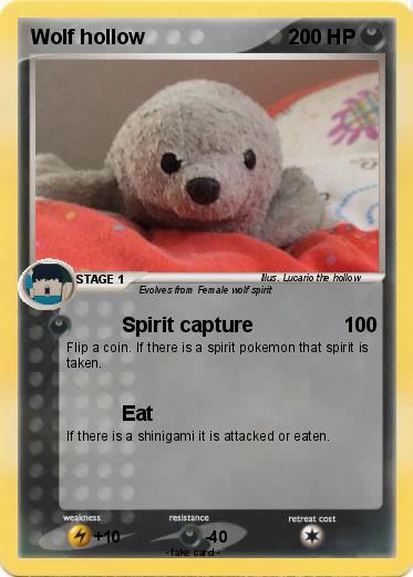 Pokemon Wolf hollow
