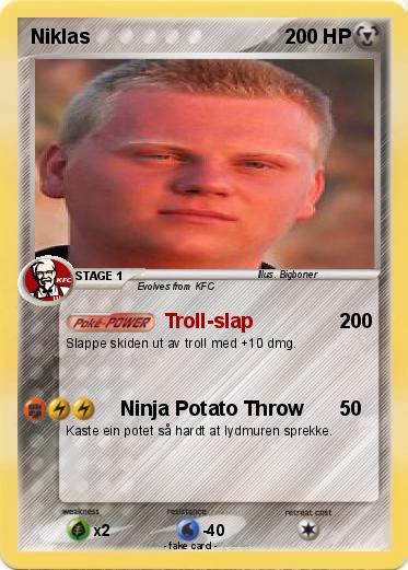 Pokemon Niklas