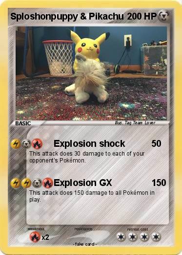 Pokemon Sploshonpuppy & Pikachu