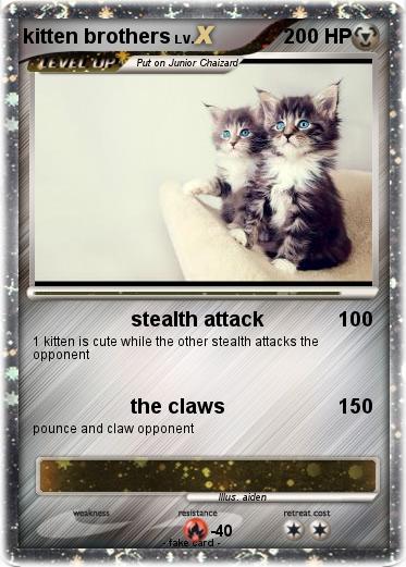 Pokemon kitten brothers