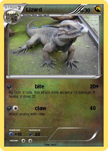 Pokemon Lizard