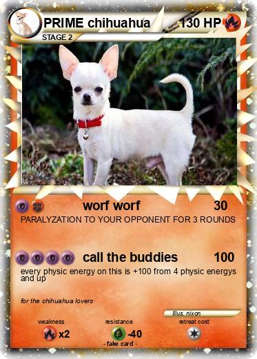 Pokemon PRIME chihuahua