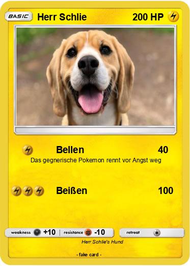 Pokemon Herr Schlie