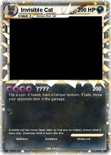 Pokemon Invisible Cat