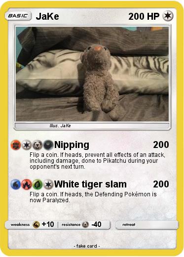 Pokemon JaKe