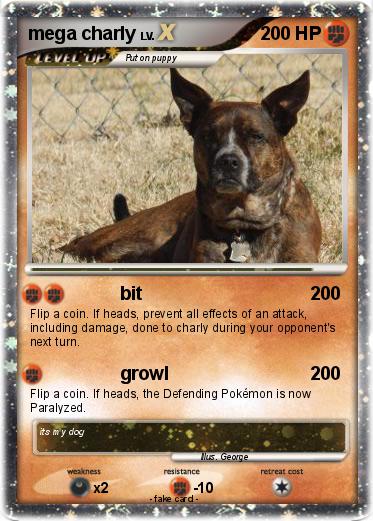 Pokemon mega charly