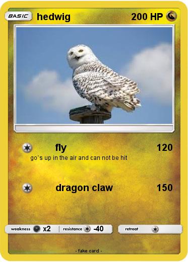 Pokemon hedwig
