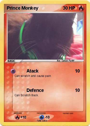 Pokemon Prince Monkey
