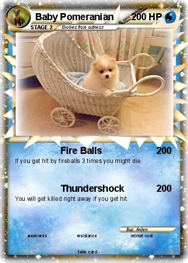 Pokemon Baby Pomeranian