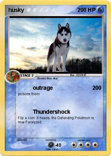 Pokemon husky