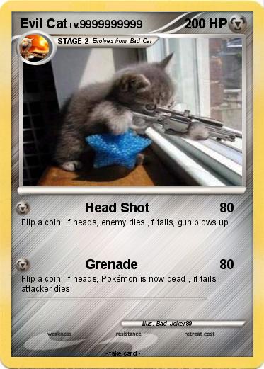 Pokemon Evil Cat