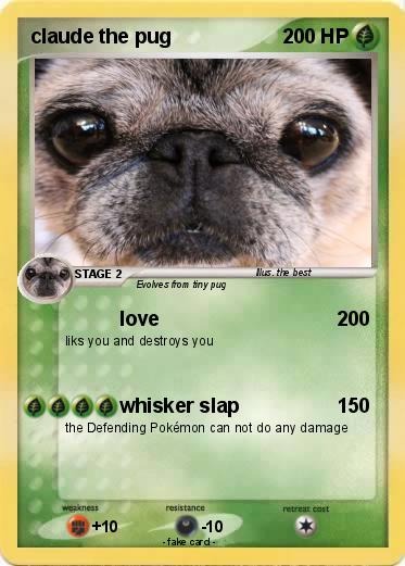 Pokemon claude the pug