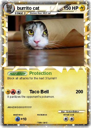 Pokemon burrito cat