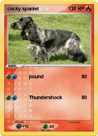 Pokemon cocky spaniel