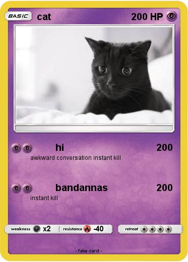 Pokemon cat