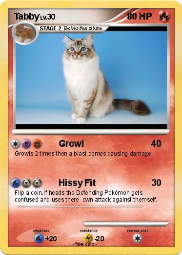 Pokemon Tabby