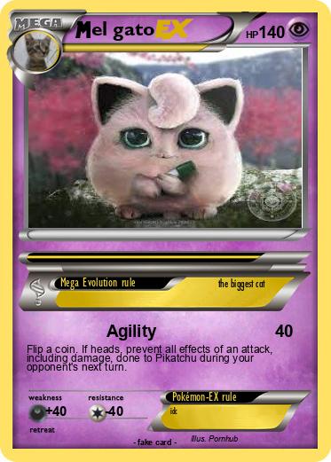Pokemon el gato