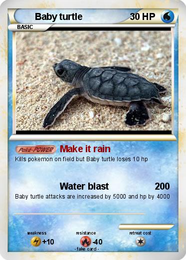 Pokemon Baby turtle