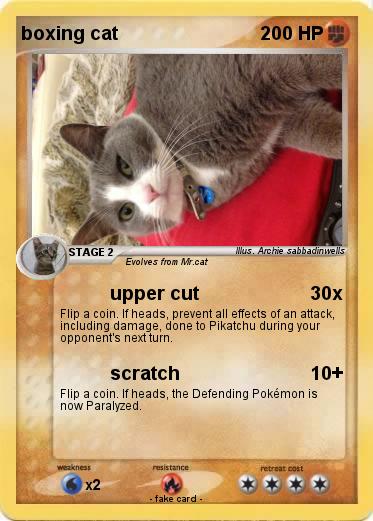 Pokemon boxing cat